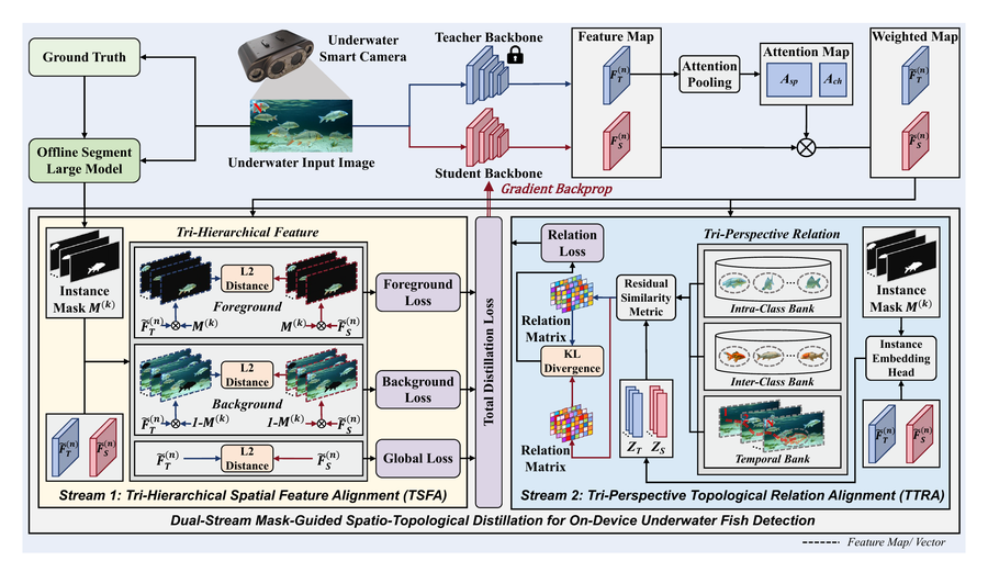On-Device Underwater Fish Detection: A New Benchmark and Distillation Framework Baseline